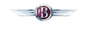 Boulevard Limousine LLC